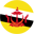 Brunei's flag