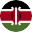 Kenya's flag