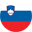 Slovenia's flag